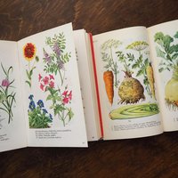 Vintage flower and plant book set | Swedish flower books | Vintage botanical books | Illustrated flower books | Vintage floral illustrations