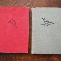 Vintage books | Scandinavian animal and bird books | Illustrated bird and animal books from 1950s | Vintage illustrations | Swedish books