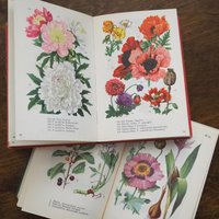 Vintage flower and plant book set | Swedish flower books | Vintage botanical books | Illustrated flower books | Vintage floral illustrations