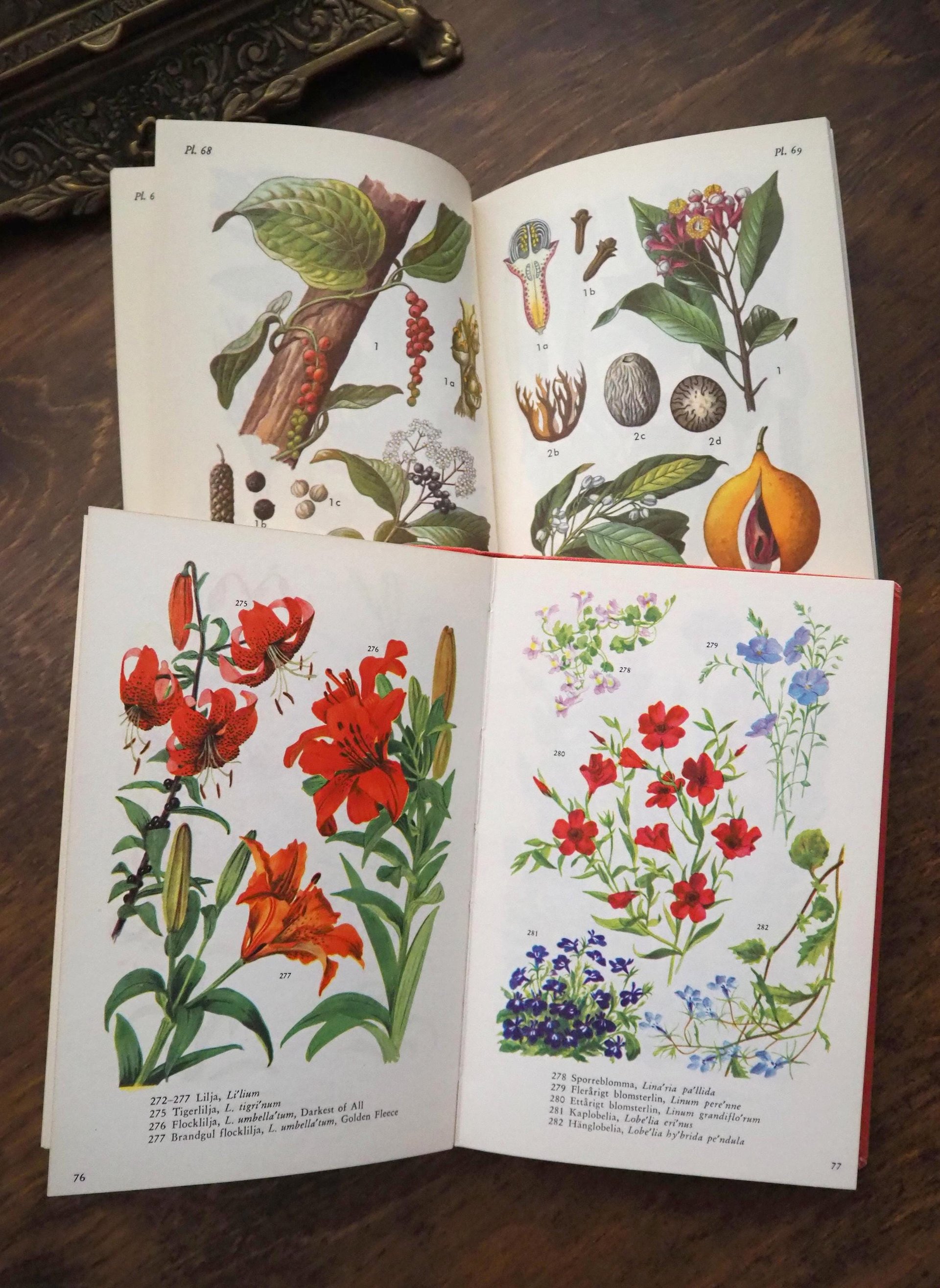 Vintage flower and plant book set | Swedish flower books | Vintage botanical books | Illustrated flower books | Vintage floral illustrations