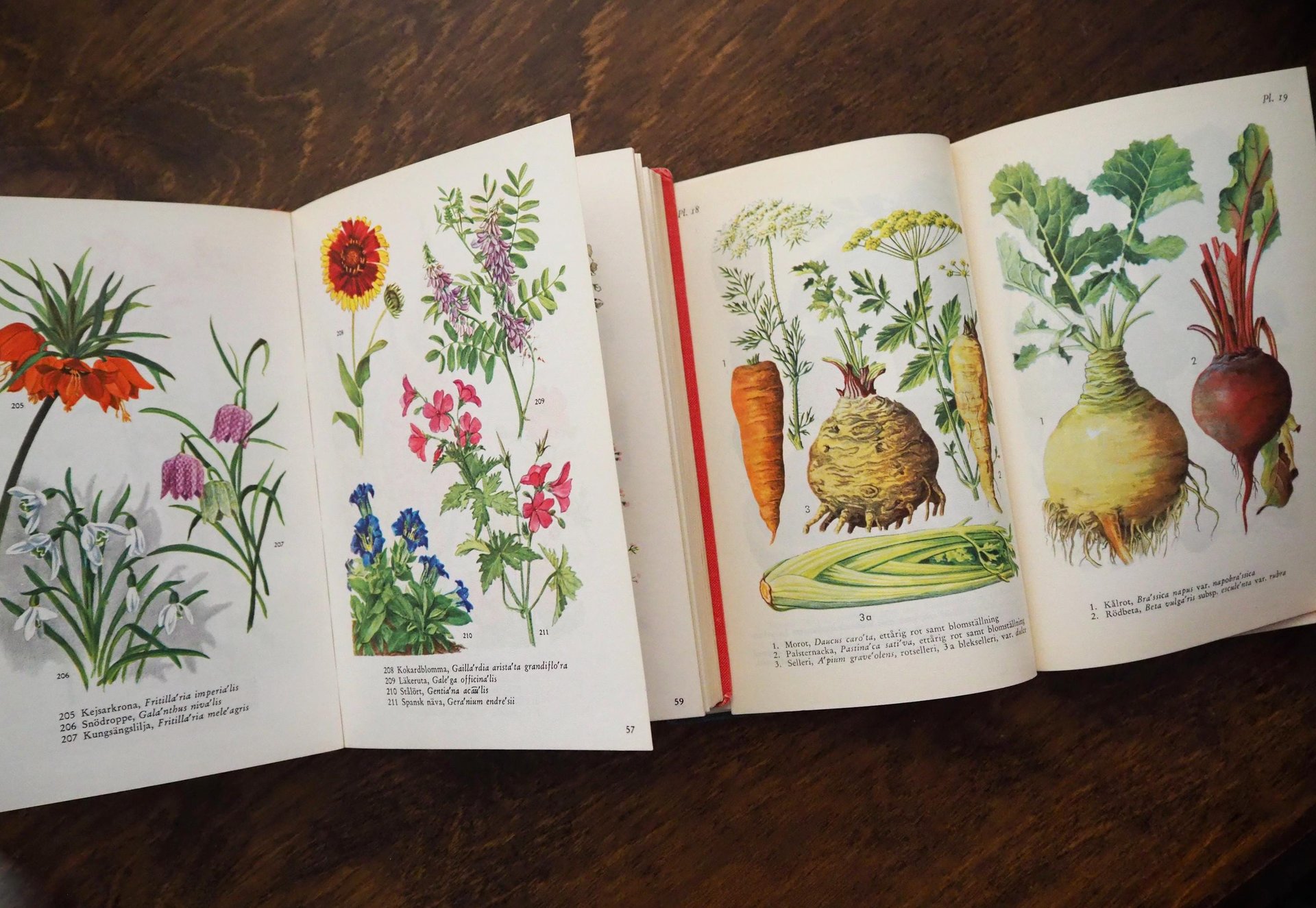 Vintage flower and plant book set | Swedish flower books | Vintage botanical books | Illustrated flower books | Vintage floral illustrations