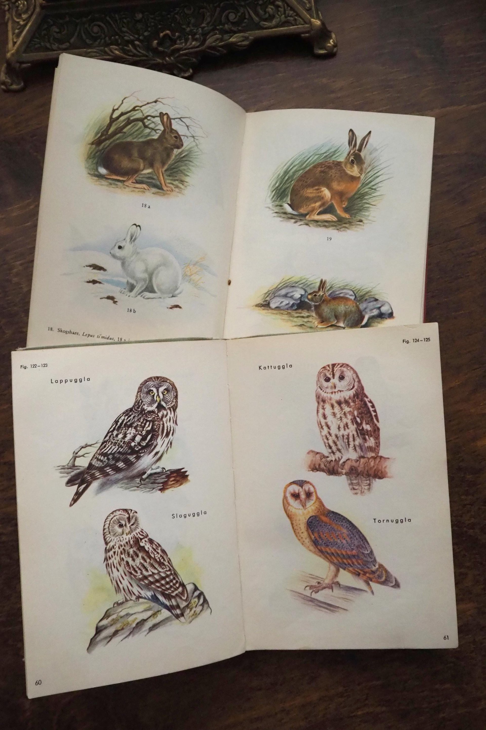 Vintage books | Scandinavian animal and bird books | Illustrated bird and animal books from 1950s | Vintage illustrations | Swedish books