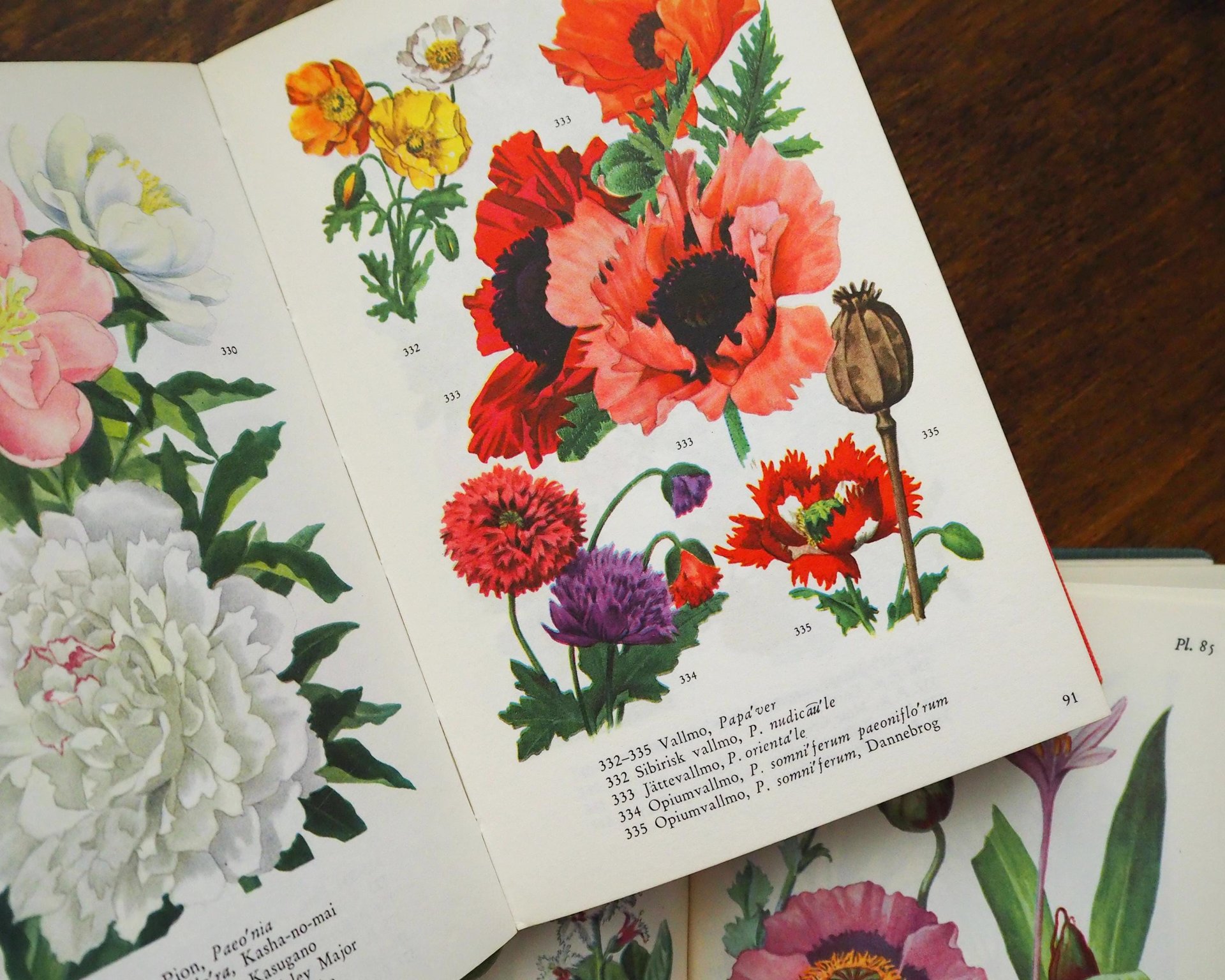 Vintage flower and plant book set | Swedish flower books | Vintage botanical books | Illustrated flower books | Vintage floral illustrations