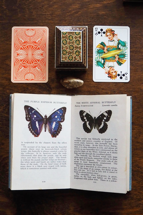 Vintage books and other small treasures