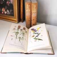 Vintage botanical book set | Pohjolan kasvit – Nordens Flora | Finnish flower book set | Illustrated botanical books | Vintage illustrations