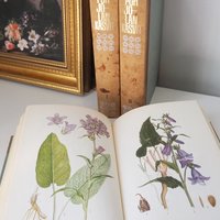 Vintage botanical book set | Pohjolan kasvit – Nordens Flora | Finnish flower book set | Illustrated botanical books | Vintage illustrations