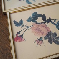 Set of two vintage framed rose prints | Framed floral wall art | Vintage rose prints wall art | Vintage Redoute roses prints
