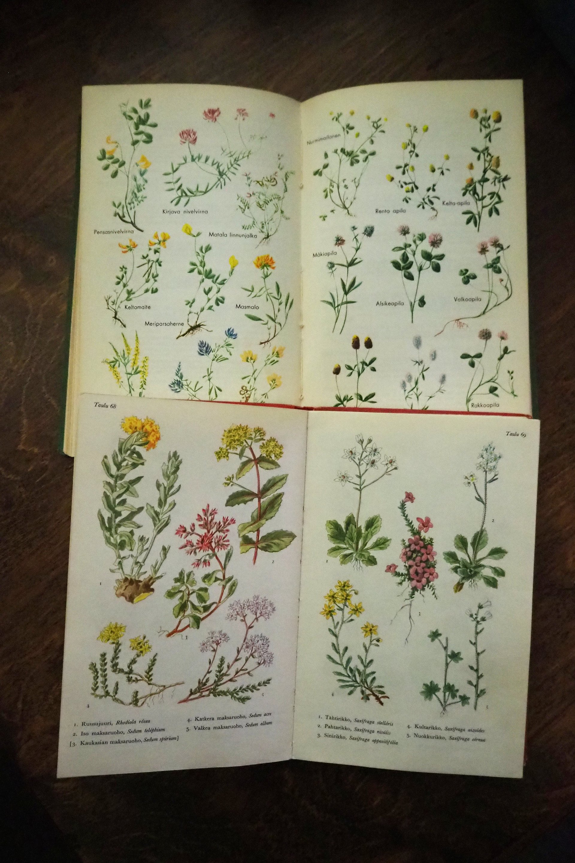 Vintage flower book set | Finnish flower books | Vintage botanical books | Illustrated flower books | Vintage floral illustrations