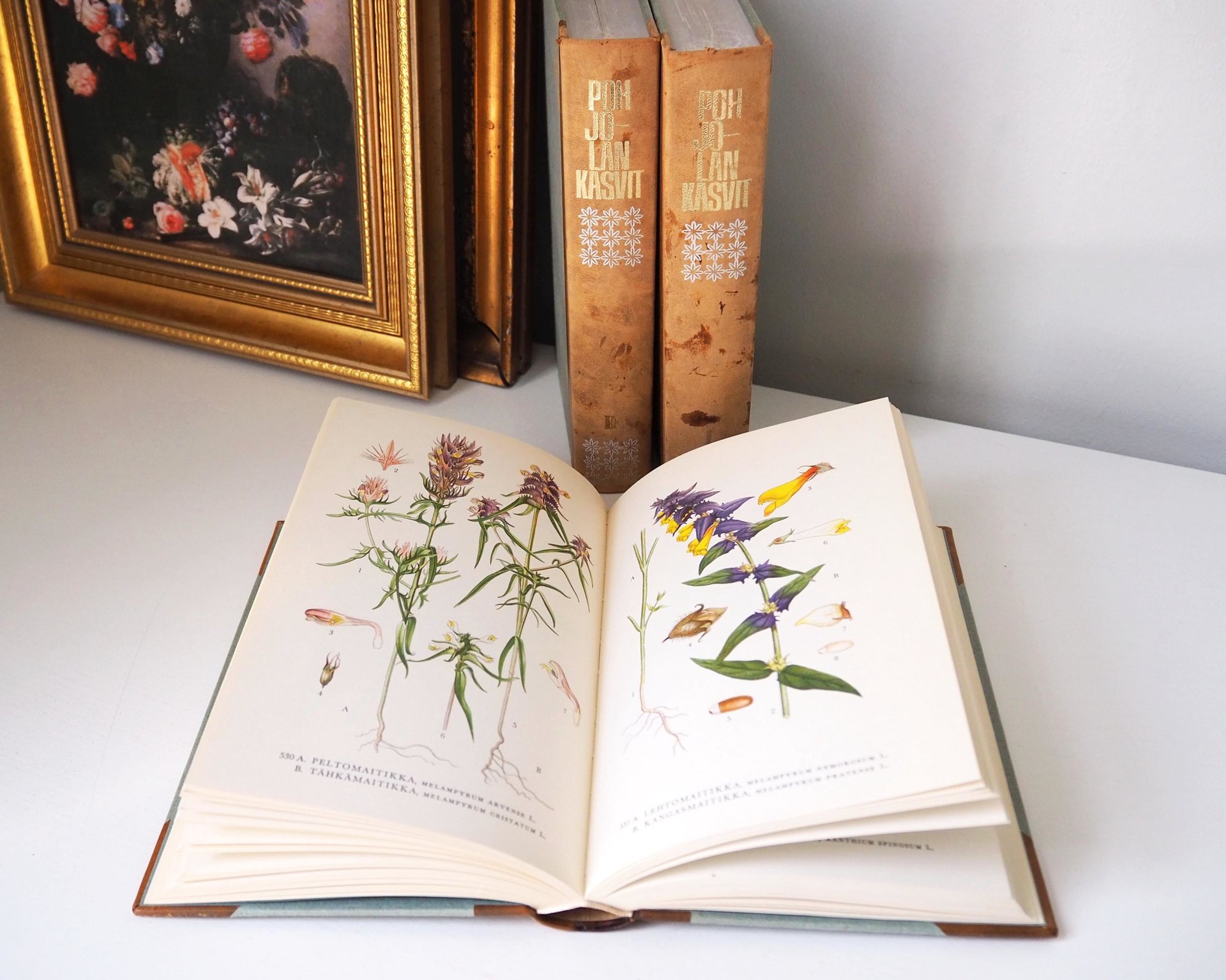 Vintage botanical book set | Pohjolan kasvit – Nordens Flora | Finnish flower book set | Illustrated botanical books | Vintage illustrations