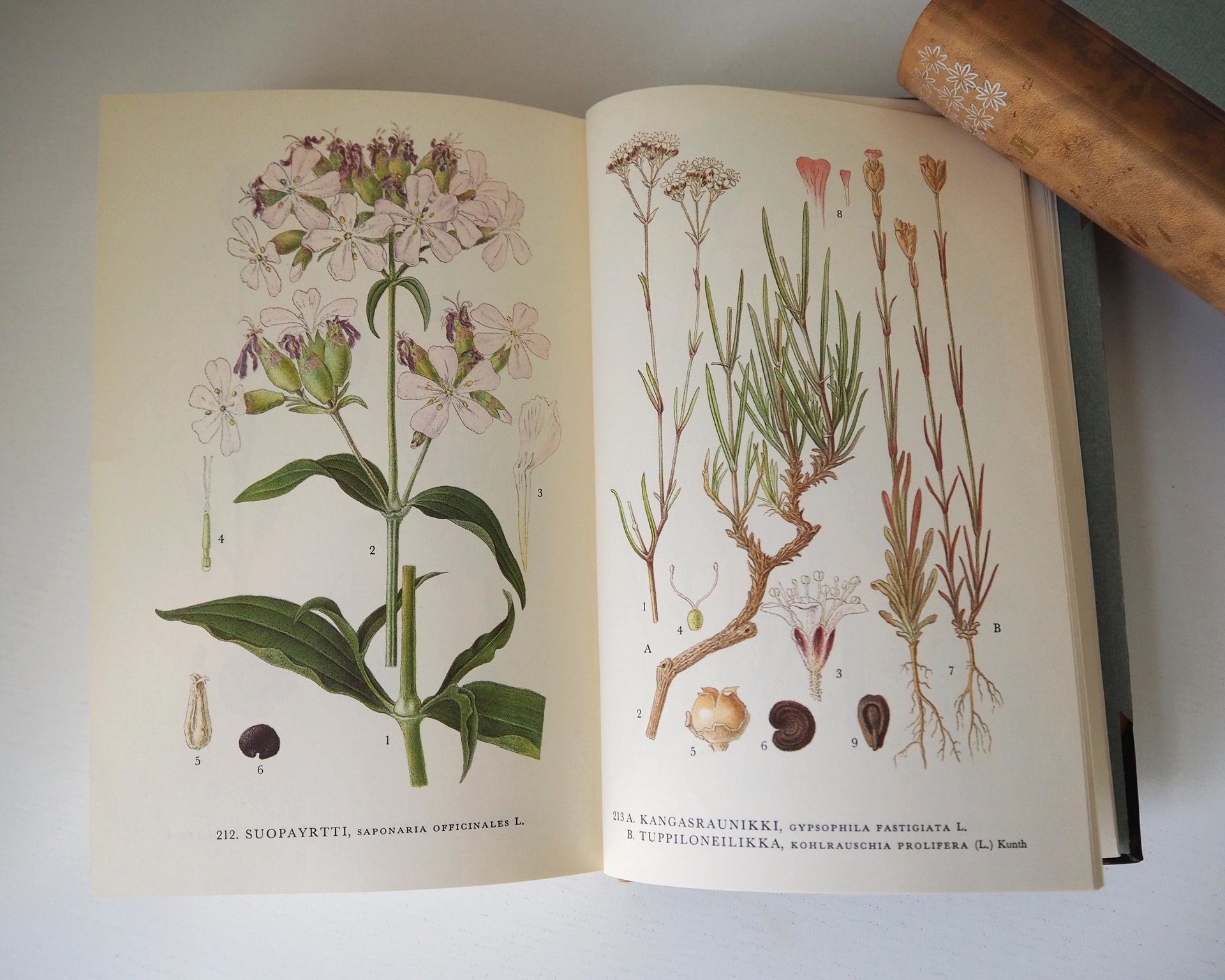 Vintage botanical book set | Pohjolan kasvit – Nordens Flora | Finnish flower book set | Illustrated botanical books | Vintage illustrations
