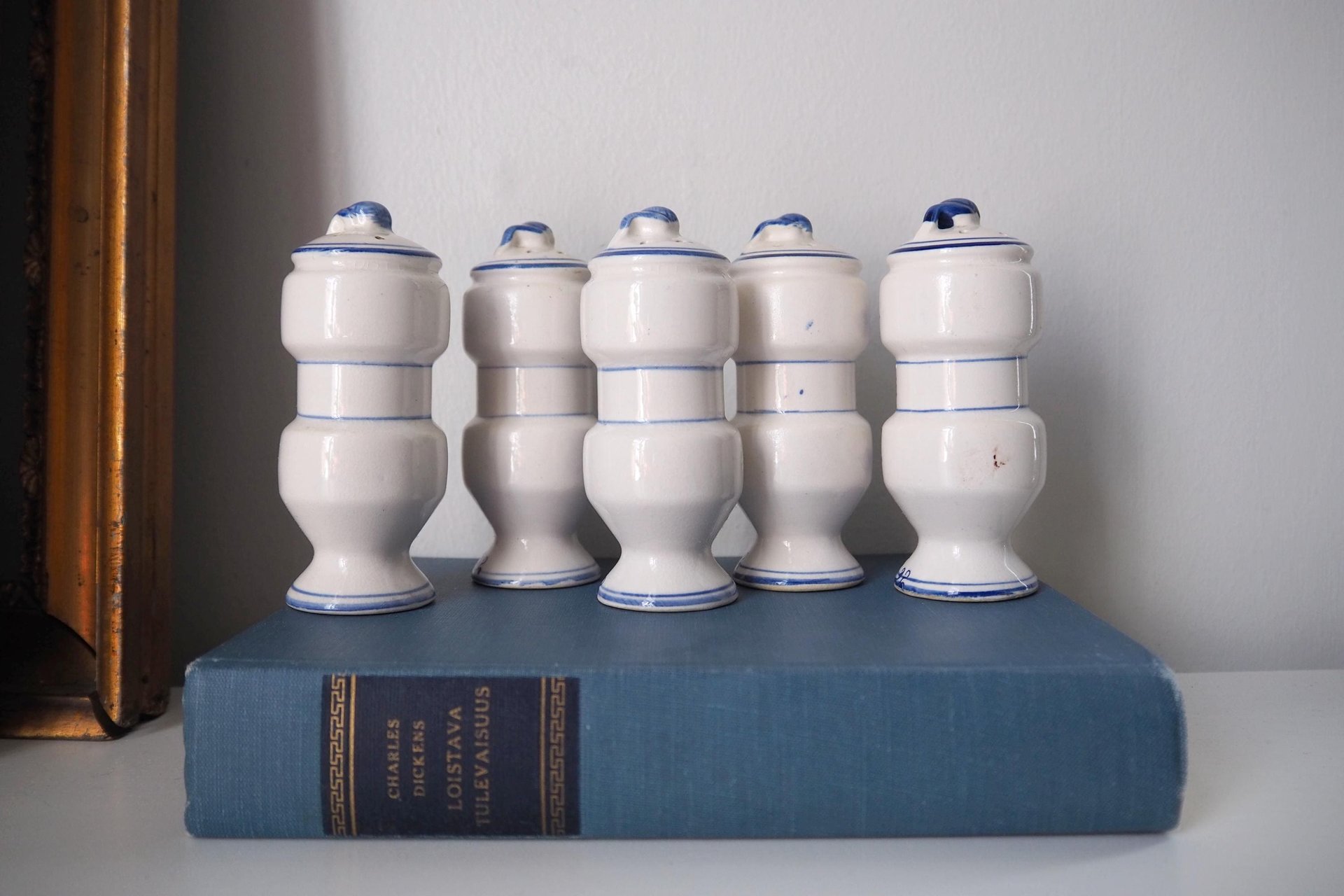 Set of five vintage ceramic spice jars | Blue Onion spice jars | Vintage ceramic spice jars | Blue and white spice jars | Made in Japan