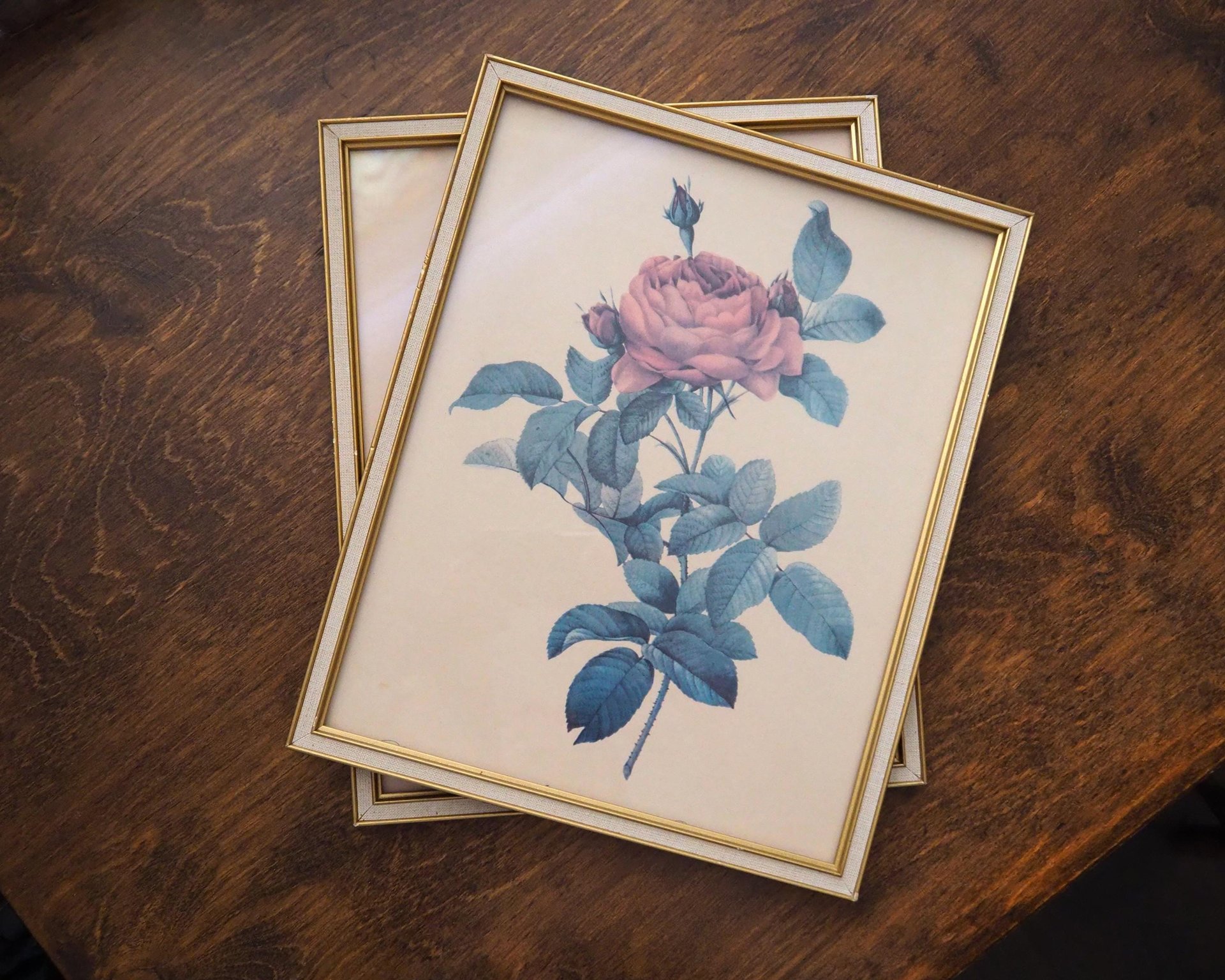 Set of two vintage framed rose prints | Framed floral wall art | Vintage rose prints wall art | Vintage Redoute roses prints