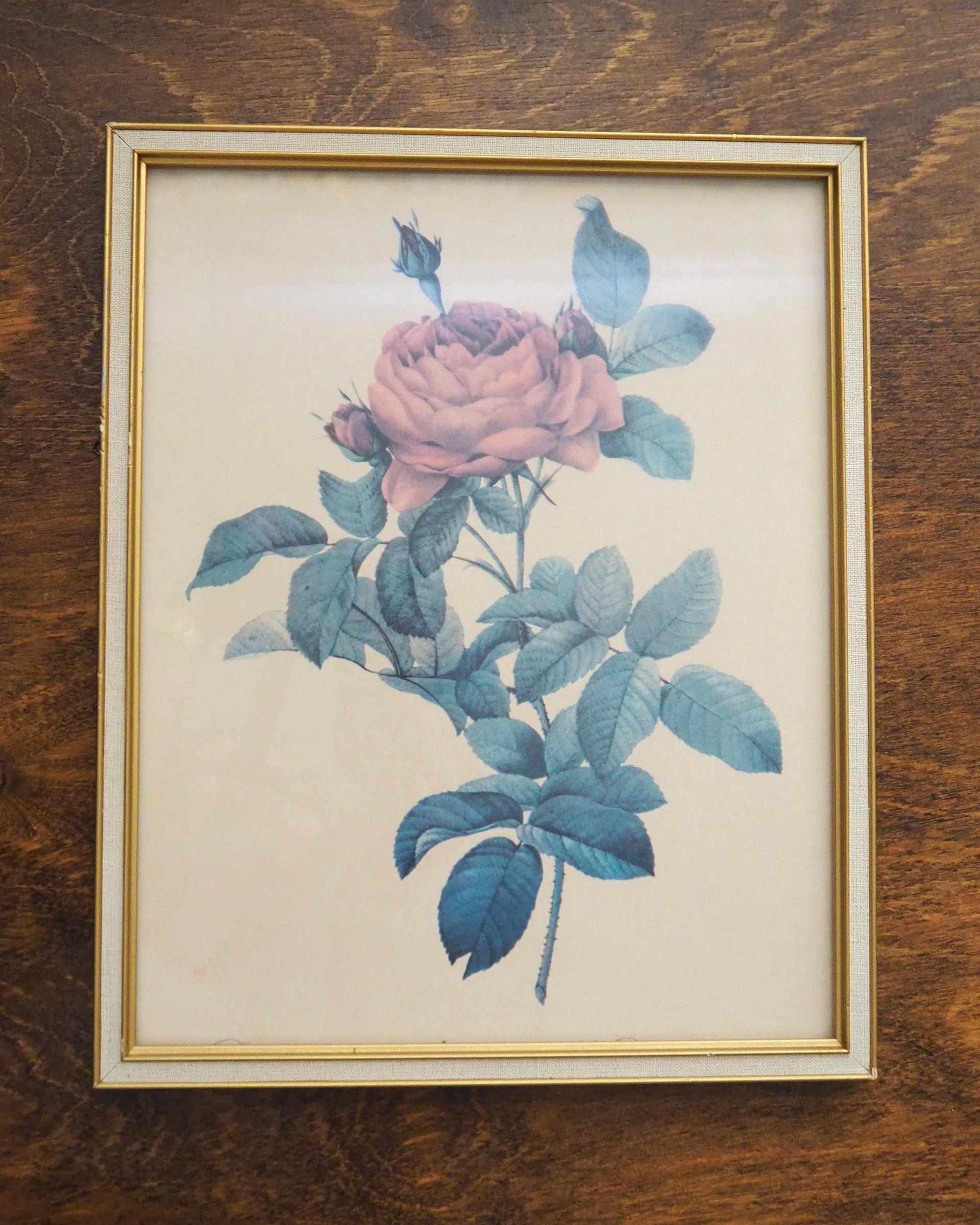 Set of two vintage framed rose prints | Framed floral wall art | Vintage rose prints wall art | Vintage Redoute roses prints