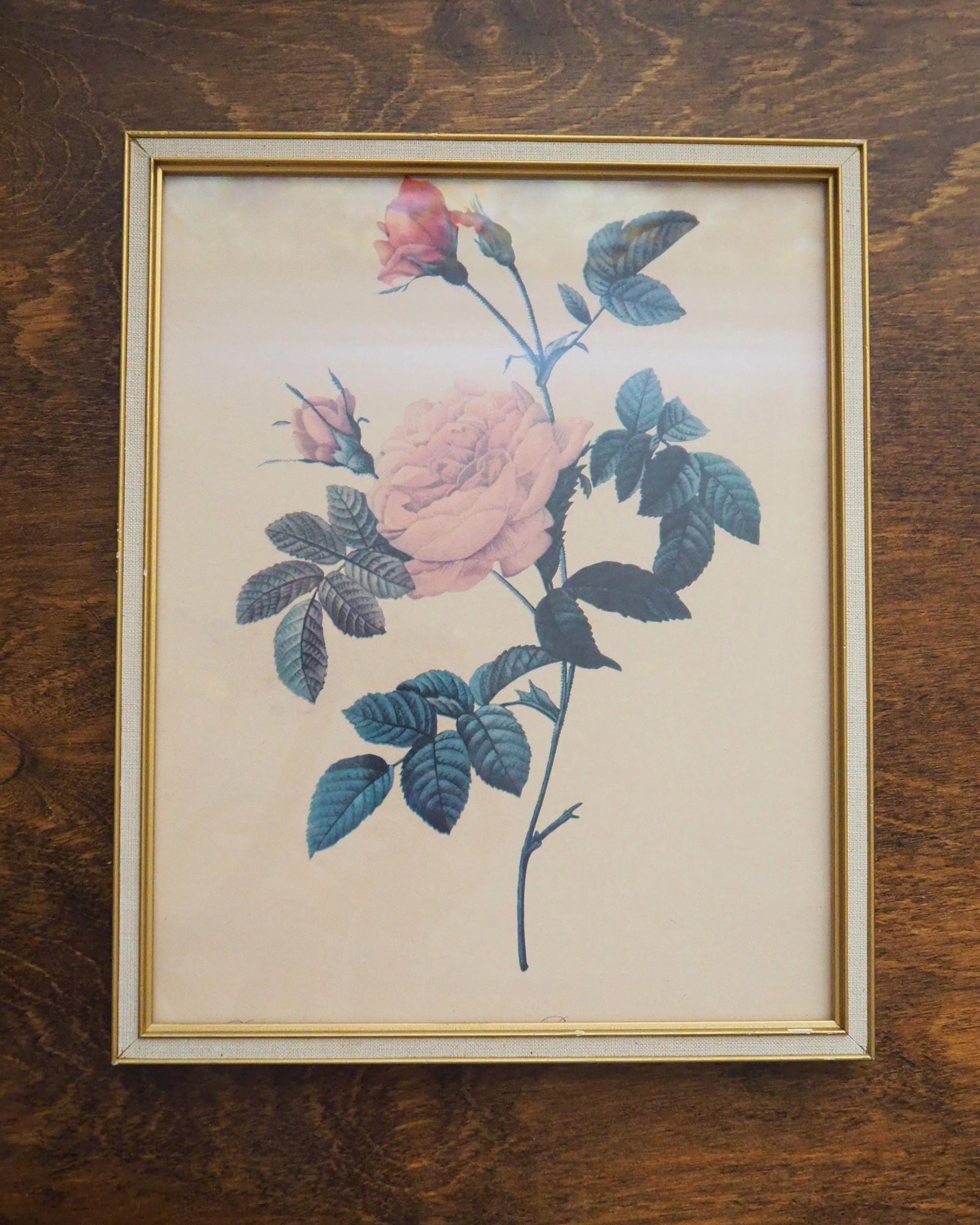 Set of two vintage framed rose prints | Framed floral wall art | Vintage rose prints wall art | Vintage Redoute roses prints