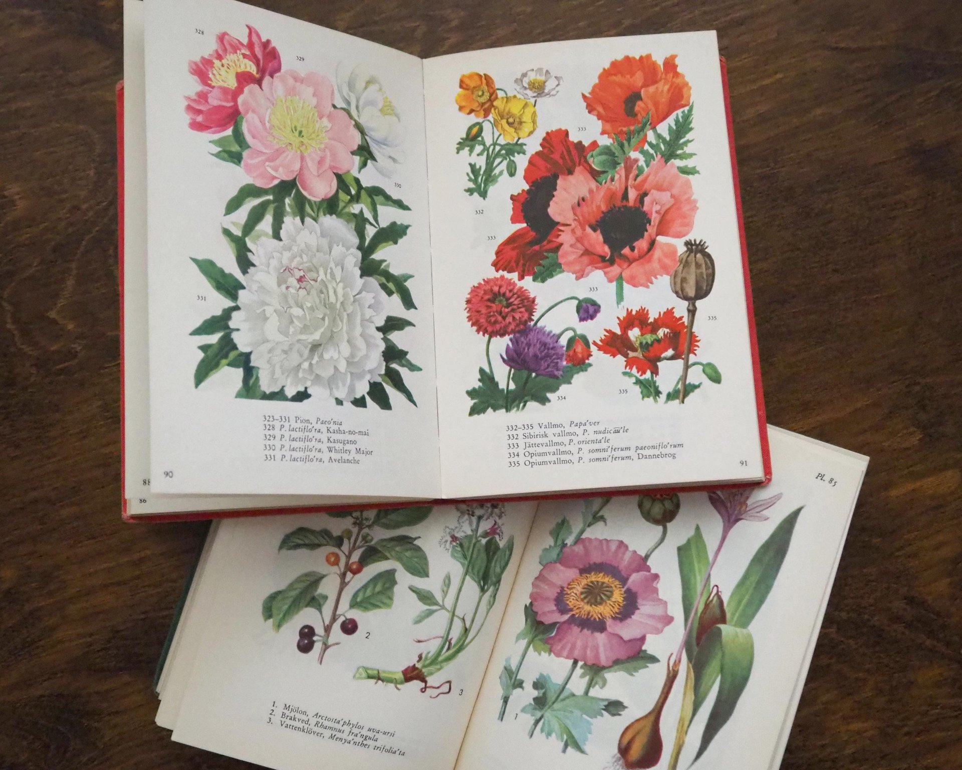 Vintage flower and plant book set | Swedish flower books | Vintage botanical books | Illustrated flower books | Vintage floral illustrations