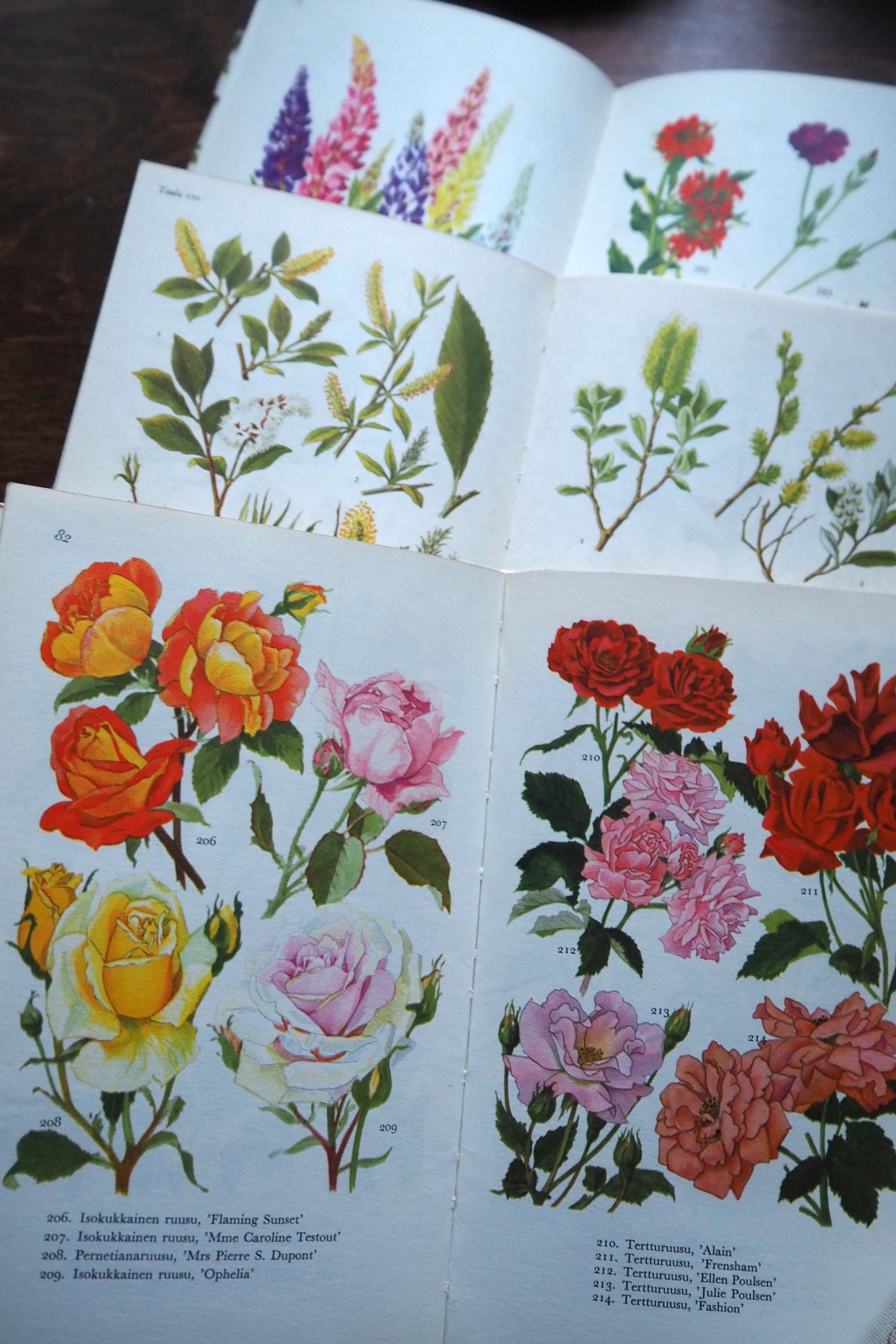 Vintage flower and plant book set | Finnish flower books | Vintage botanical books | Illustrated flower books | Vintage floral illustrations