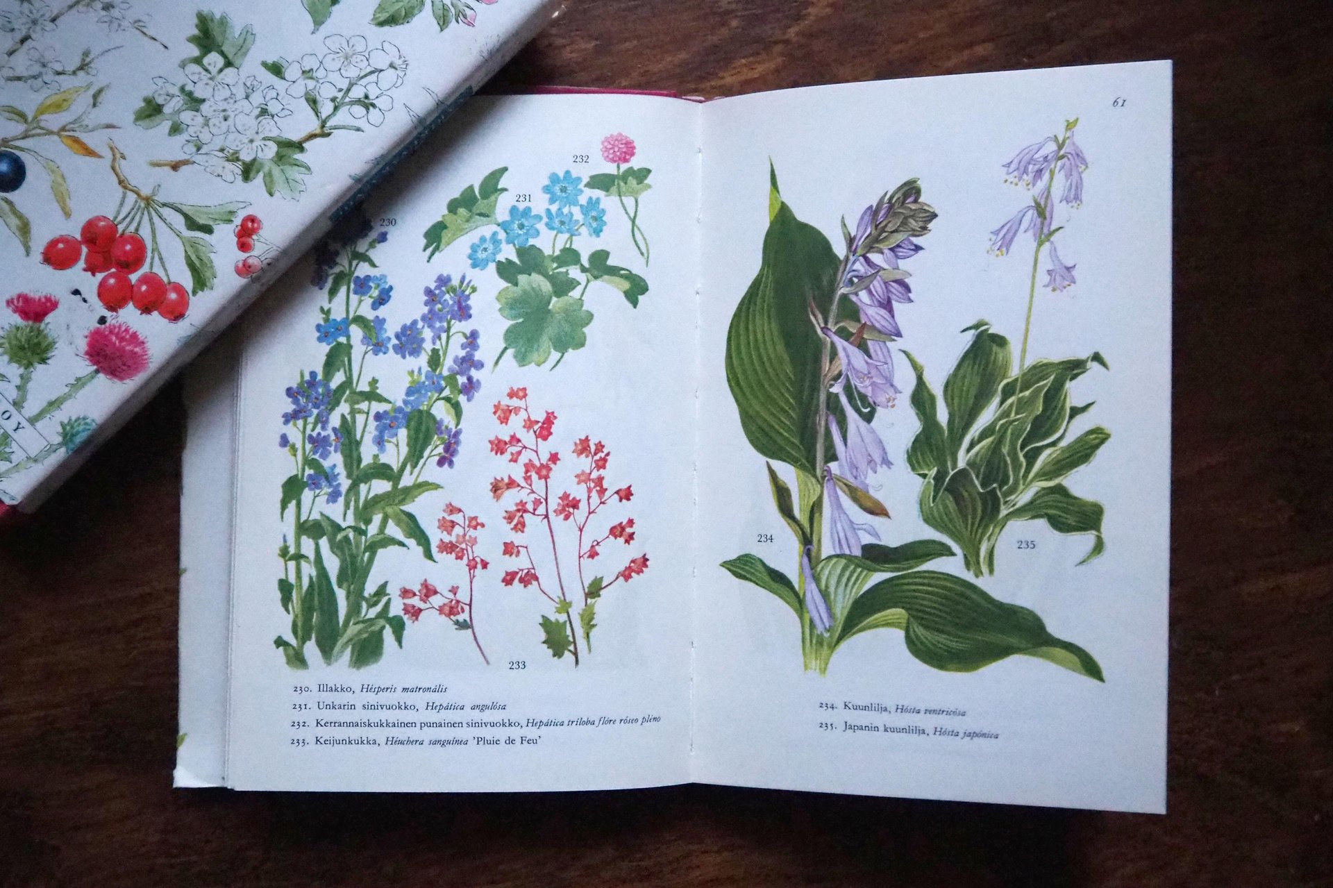 Vintage flower and plant book set | Finnish flower books | Vintage botanical books | Illustrated flower books | Vintage floral illustrations