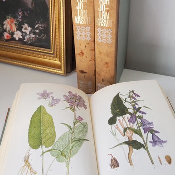 Vintage botanical book set | Pohjolan kasvit – Nordens Flora | Finnish flower book set | Illustrated botanical books | Vintage illustrations