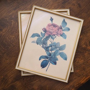 Set of two vintage framed rose prints | Framed floral wall art | Vintage rose prints wall art | Vintage Redoute roses prints