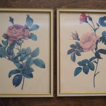 Set of two vintage framed rose prints | Framed floral wall art | Vintage rose prints wall art | Vintage Redoute roses prints