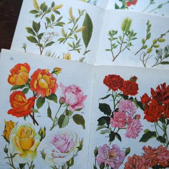 Vintage flower and plant book set | Finnish flower books | Vintage botanical books | Illustrated flower books | Vintage floral illustrations
